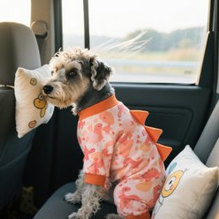CuteBone Dino Small Dog Pajamas, Orange, Medium slide 2 of 9