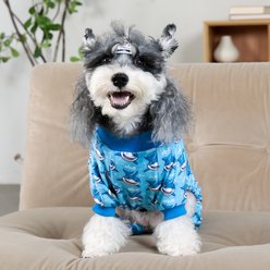 CuteBone Dino Small Dog Pajamas, Blue Shark, Medium slide 2 of 9