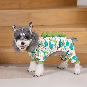 CuteBone Dino Small Dog Pajamas, Green/White, Medium