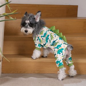 CuteBone Dino Small Dog Pajamas, Green/White, Medium