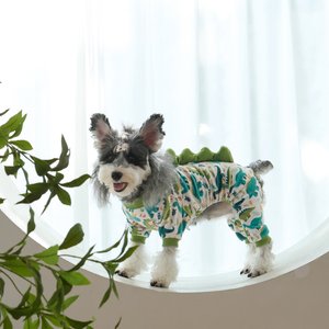 CuteBone Dino Small Dog Pajamas, Green/White, Medium