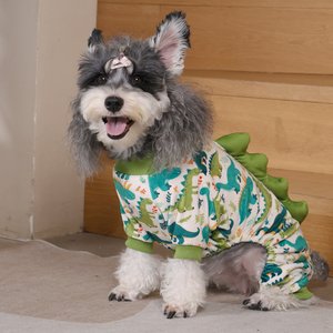 CuteBone Dino Small Dog Pajamas, Green/White, Medium