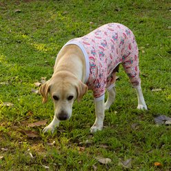 CuteBone Unicorn Big Dog Pajamas, Pink, Medium slide 2 of 9