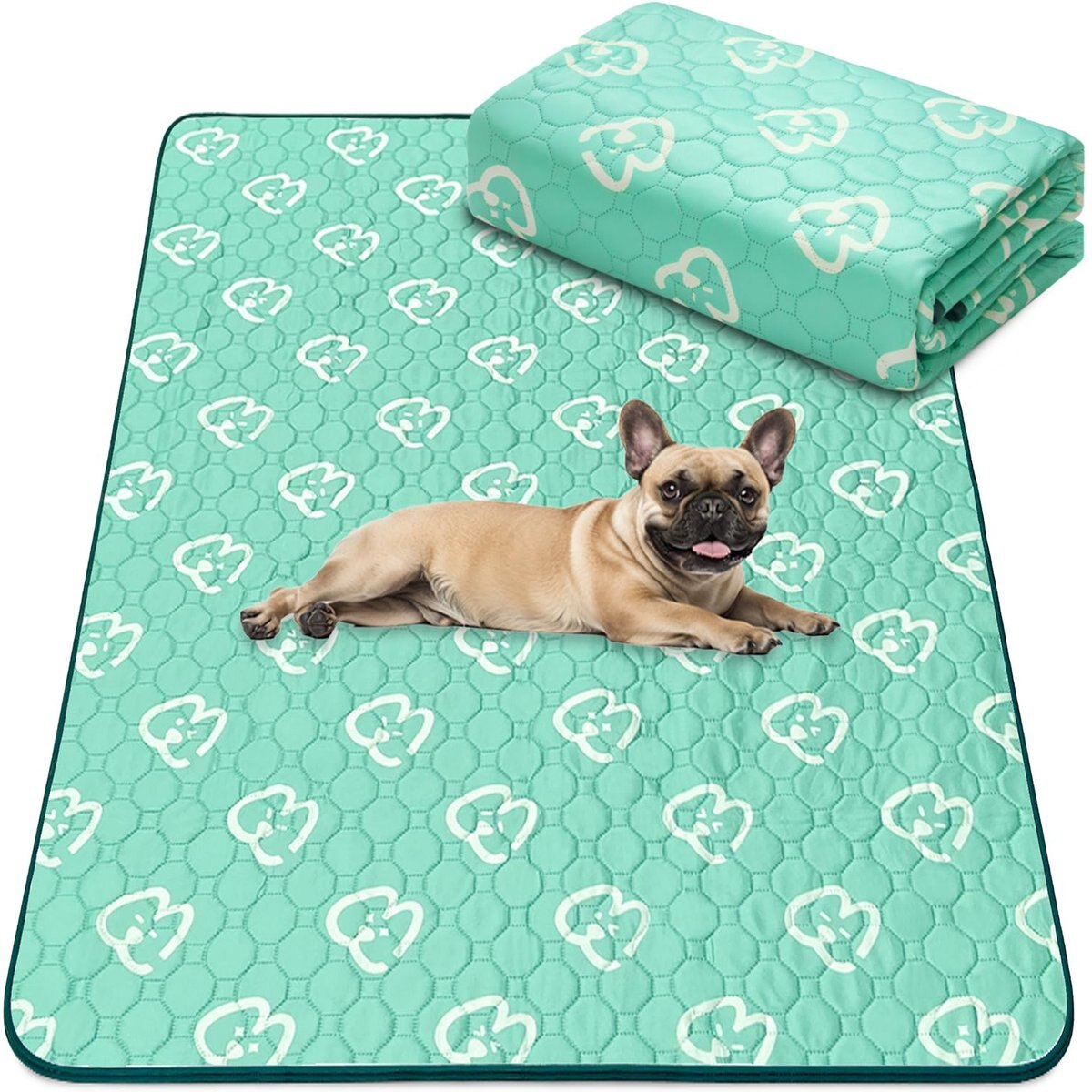 FXW Washable Dog Pee Pads, Green, Rectangle: 39 x 63-in, 1 count