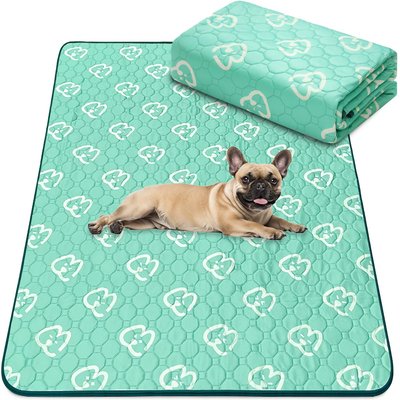 FXW FXW Washable Dog Pee Pads, Green, Rectangle: 39 x 63-in, 1 count
