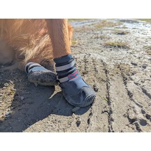 Bark Brite New All Terrain All Weather Neoprene Dog Shoe, Stone Blue, X-Large