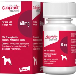 Galliprant (grapiprant) Tablets for Dogs, 60-mg, 1 tablet