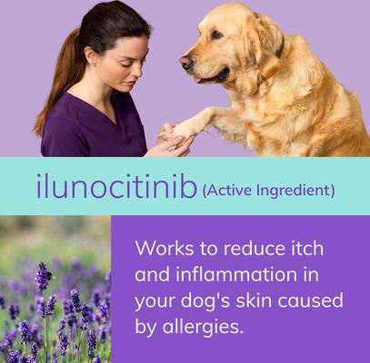 Show full view: Zenrelia (ilunocitinib tablets) for Dogs, 4.8-mg, 30 tablets slide 7 of 10