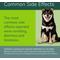 Show in main carousel: Zenrelia (ilunocitinib tablets) for Dogs, 4.8-mg, 30 tablets slide 6 of 10