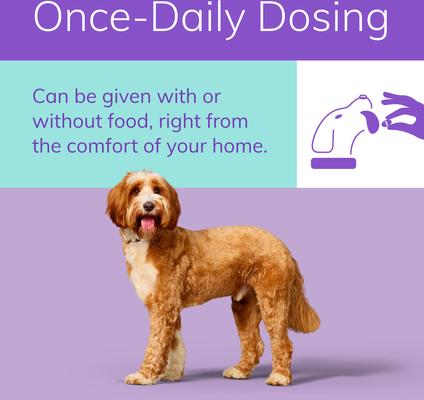 Show full view: Zenrelia (ilunocitinib tablets) for Dogs, 4.8-mg, 30 tablets slide 5 of 10