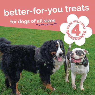 Show full view: Fruitables Whole Jerky Bites Alaskan Salmon & Pear Dog Treats, 5-oz bag slide 7 of 11