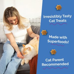 Fruitables Chicken & Blueberry Flavor Crunchy Cat Treats, 2.5-oz bag