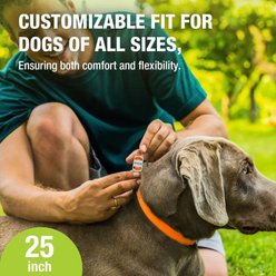 EcoVenger Flea & Tick Collar for Dogs & Cats, 2 count, Orange slide 2 of 7