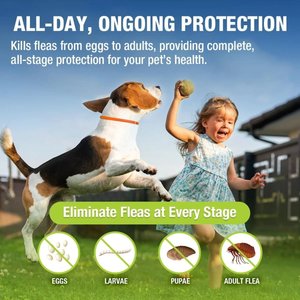 EcoVenger Flea & Tick Collar for Dogs & Cats, 2 count, Orange