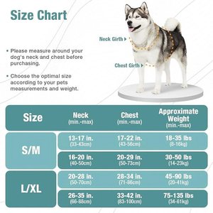 ZingZap Adjustable Flea & Tick Vest for Dogs, Green, Large/X-Large