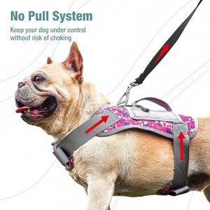 ZingZap Adjustable Flea & Tick Vest for Dogs, Green, Large/X-Large