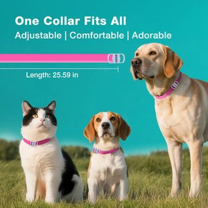 ZingZap Flea & Tick Collar for Dogs & Cats, 2 count, Pink
