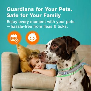 ZingZap Flea & Tick Collar for Dogs & Cats, 2 count, Grey