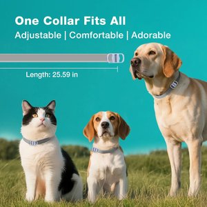 ZingZap Flea & Tick Collar for Dogs & Cats, 2 count, Grey