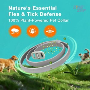 ZingZap Flea & Tick Collar for Dogs & Cats, 2 count, Grey