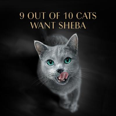 Show full view: Sheba Perfect Portions Grain-Free Seafood Entrees Pate Variety Pack Adult Wet Cat Food Trays, 2.6-oz tray, case of 12 slide 9 of 12