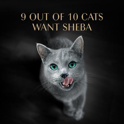 Show full view: Sheba Perfect Portions Seafood Pate Variety Pack Grain-Free Adult Wet Cat Food Trays, 2.6-oz, case of 24 slide 8 of 9