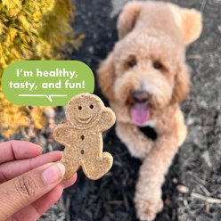 Buddy Biscuits Grain-Free Variety Pack - Rotisserie Chicken & Peanut Butter Dog Treats, 28-oz bundle slide 2 of 9