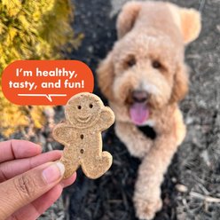 Buddy Biscuits Grain-Free Peanut Butter Dog Treats, 14-oz box slide 2 of 9