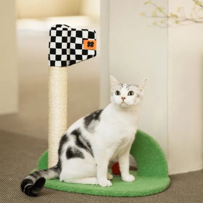 EYS EYS Golf Shape Climber with Natural Sisal Scratching Post Cat Toy with Catnip, Green