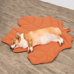FunnyFuzzy Leaf Shape 3-in-1 Dog Blanket, Maple Red slide 2 of 8