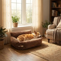 Kylinsure Sofa Dog & Cat Bed with Removable Washable Cover, Coffee, Small slide 1 of 9