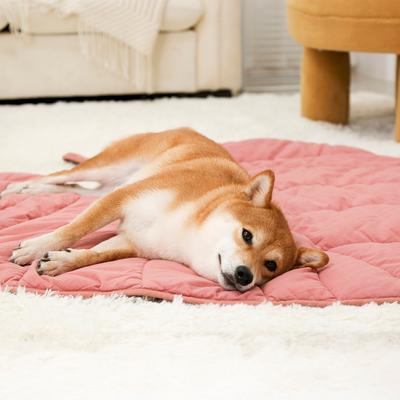 Show full view: FunnyFuzzy Leaf Shape 3-in-1 Dog Blanket, Anthurium Pink slide 5 of 8