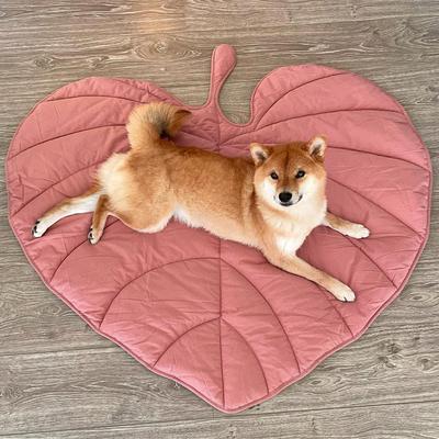 Show full view: FunnyFuzzy Leaf Shape 3-in-1 Dog Blanket, Anthurium Pink slide 2 of 8