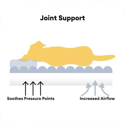 Show full view: FunnyFuzzy Fluffy Orthopedic Dog Sofa Bed, Pink, Large slide 7 of 10