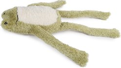 allforpaws Titan Gnaw Karla Frog Tough Squeaky Dog Plush Toy, Green slide 2 of 3