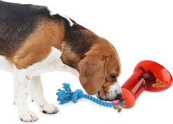 allforpaws Doggies' Shoes Big Boot Dispenser Dog Treat Dispenser, Red, Large slide 2 of 3