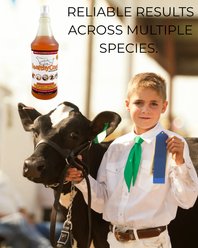 Healthy Coat Multi-Species & Show Formula Liquid Livestock Supplement, 128-fl oz bottle slide 2 of 3