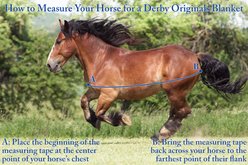 Derby Originals No Hardware 420D 150g Insulation & 210 T lining Foal & Mini Horse Stable Blanket, Hurricane Blue, 36 x 42-in slide 2 of 3