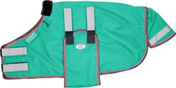 Derby Originals No Hardware 1200D 150g Medium Weight Foal & Mini Horse Turnout Blanket, Turquoise, 36 x 42-in