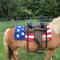 Show in main carousel: Tahoe Tack American Pride New Zealand Wool Western Horse Saddle Blanket, Red, White, Blue, 26 x 26-in slide 4 of 5