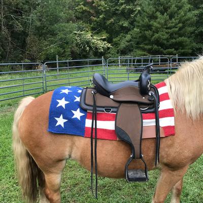 Show full view: Tahoe Tack American Pride New Zealand Wool Western Horse Saddle Blanket, Red, White, Blue, 26 x 26-in slide 4 of 5