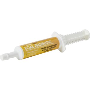 FullBucket Health Equine Foal Probiotic Paste Horse Supplement, .10-oz tube