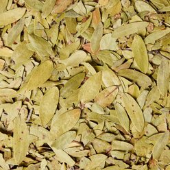 McTarnahans Uva Ursi Leaves Kidney & Urinary Horse Supplement, 1-lb bucket slide 2 of 3