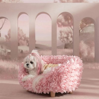 Halinfer Halinfer Petal Elevated Cat Sofa Bed, Pink, Medium