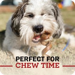 Redbarn Premium 5" Braided Bully Sticks Dog Treats, Bulk 30 count slide 2 of 9