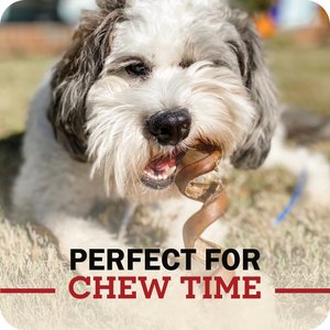 Redbarn Premium 7" Bully Sticks Dog Treats, 6 count