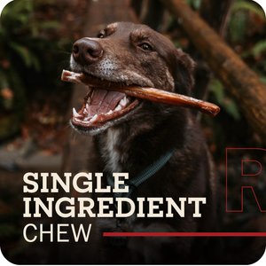 Redbarn Premium 7" Bully Sticks Dog Treats, 6 count