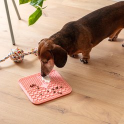 Park Life Designs Calming Lick Mat Set, 2 count, Blush Pink slide 2 of 5