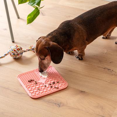 Show full view: Park Life Designs Calming Lick Mat Set, 2 count, Blush Pink slide 3 of 5