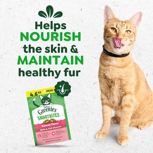 Greenies Feline SmartBites Healthy Skin & Fur Natural Salmon Flavor Soft & Crunchy Adult Cat Treats, 4.6-oz bag